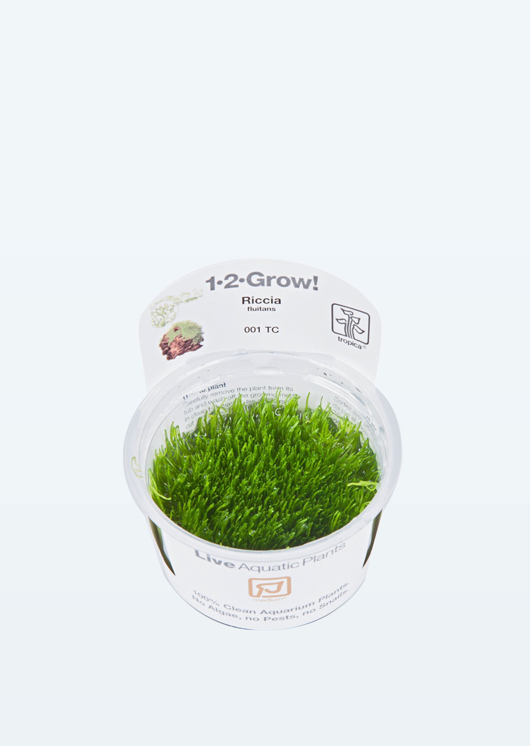 Buy 1 2 Grow Riccia Fluitans Online Free Uae Delivery Over 100 Aed