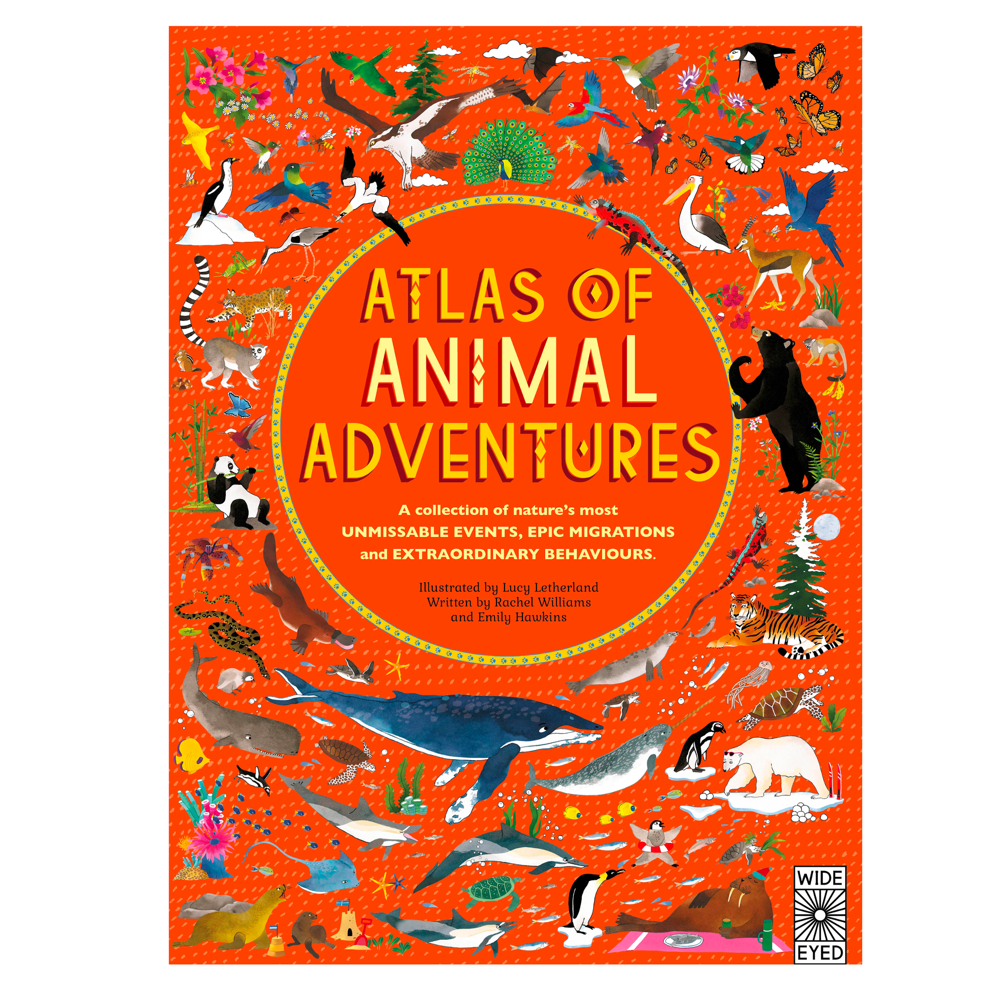 Приключения животных. Книга приключения животных.