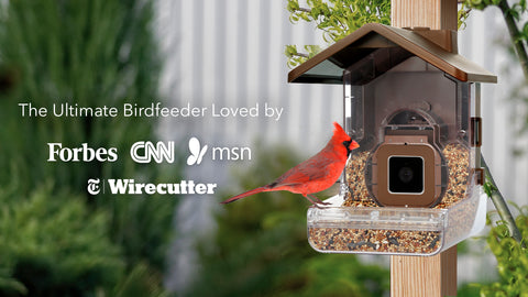 Shop Smart Bird Feeder Camera with Solar Panel, Wireless Camera