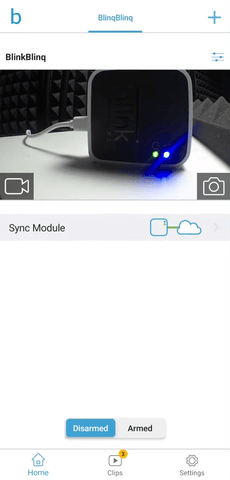 Blink Armed vs Disarmed Mode: Explained in Detail – Wasserstein Home