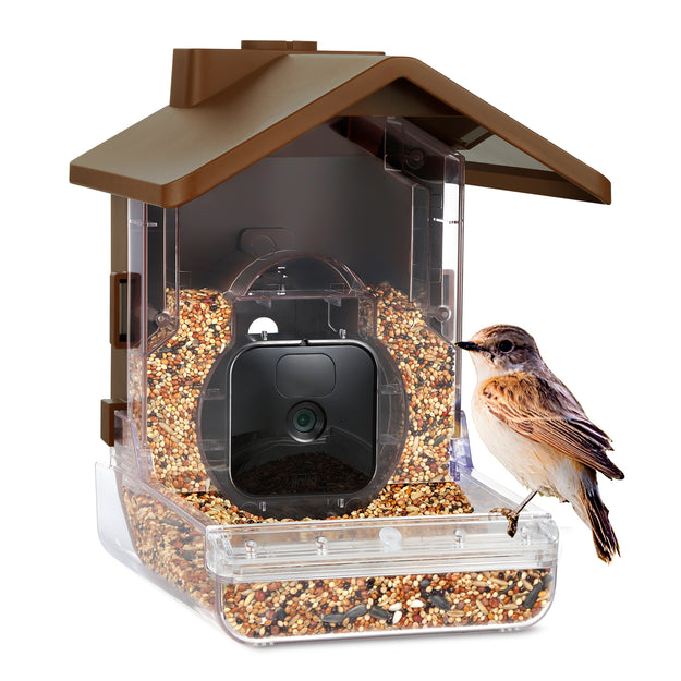 Comedero de pájaros con cámara de seguridad Wasserstein Bird Feeder