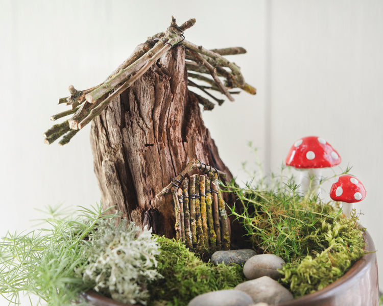 A tour of my rustic fairy garden.  ~Smile Mercantile~