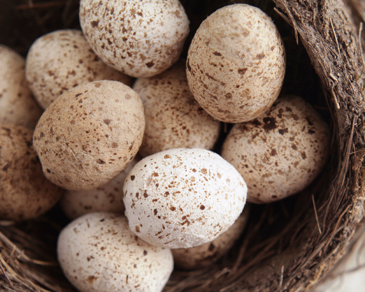 Spun Cotton Quail Egg Tutorial - Smile Mercantile