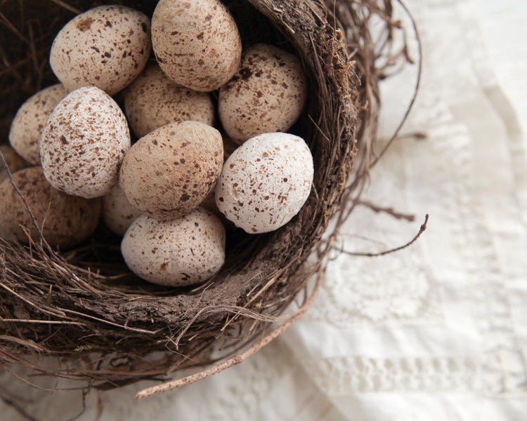 Spun Cotton Quail Egg Tutorial - Smile Mercantile