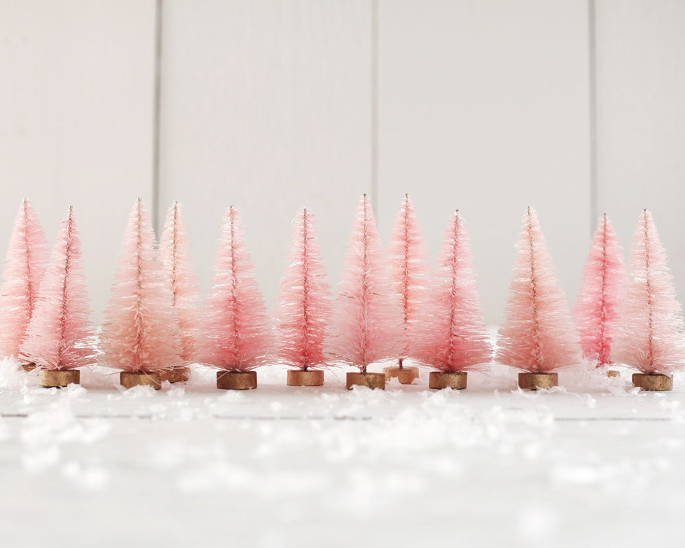 pink bottle brush trees