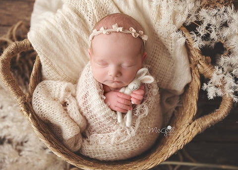 Newborn Photography Props