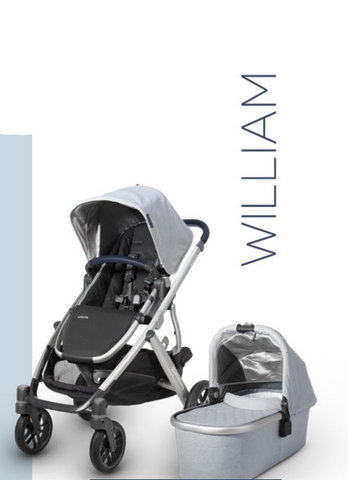 uppababy 2019 colors