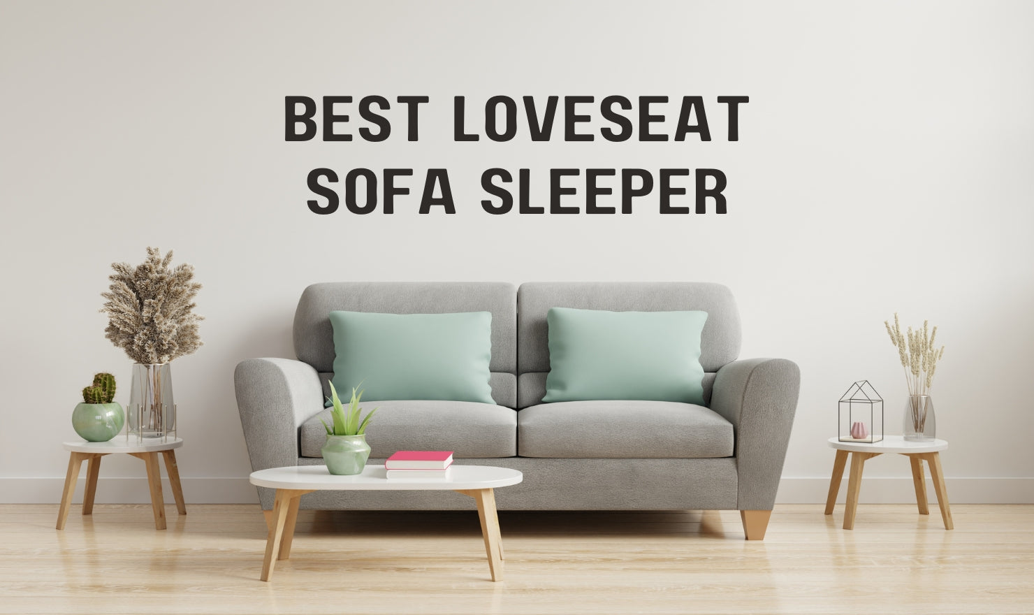 Best Loveseat Sofa Sleeper