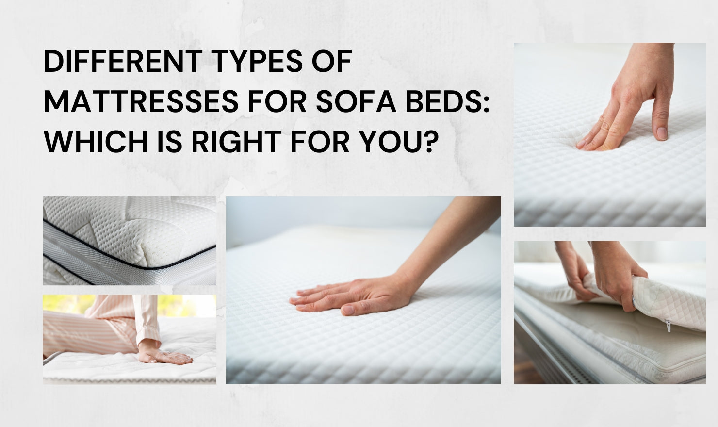 Sofa Cushions Buying Guide: Which Foam Type is Best?