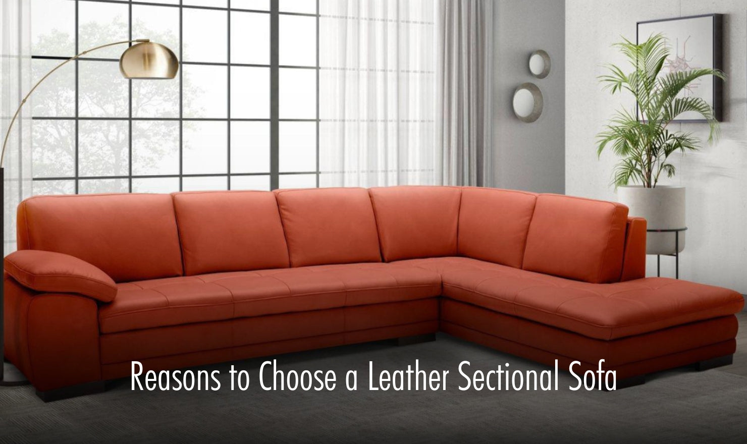 Reasons to Choose a Leather Sectional Sofa