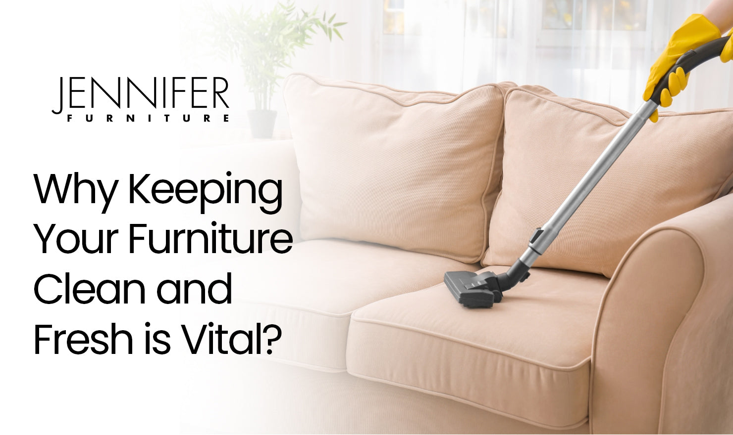 Why Keeping Your Furniture Clean and Fresh is Vital