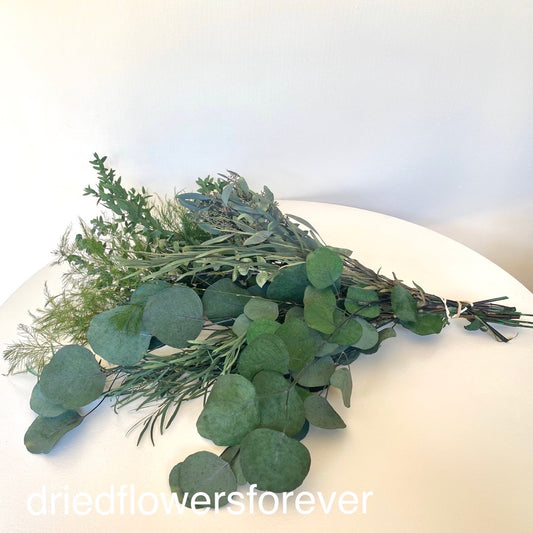 Preserved Baby's Breath Gypsophila - Bleached White (Medium-to-Large Bloom)  –