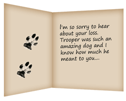 Tips On Writing A Pet Loss Condolence Note Healing The Heart