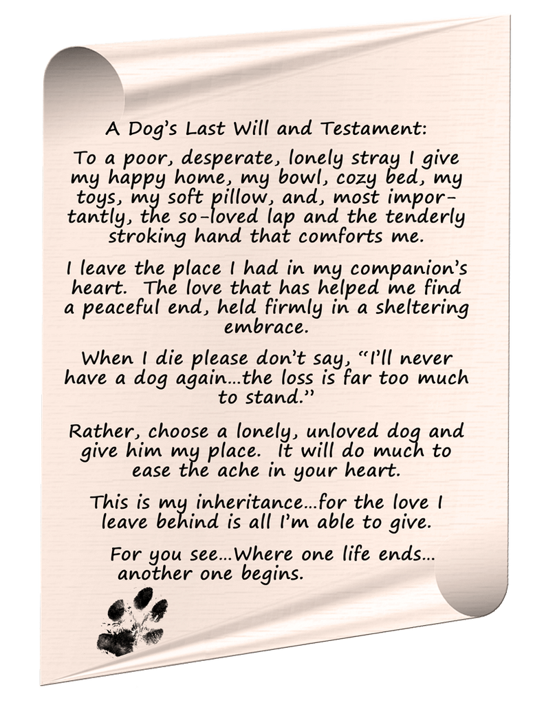 dogs last will and testiment
