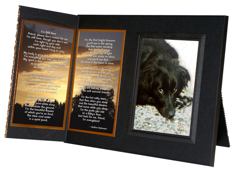 Pet Loss Sympathy Gift ,"I'm Still Here", Memorial Picture Frame - Healing the Heart product image