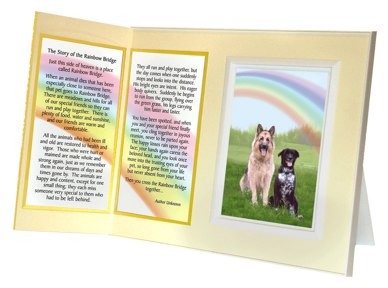 Angel Memoial Figuine Fo Dog Loss - Ainbow Bidge Pet