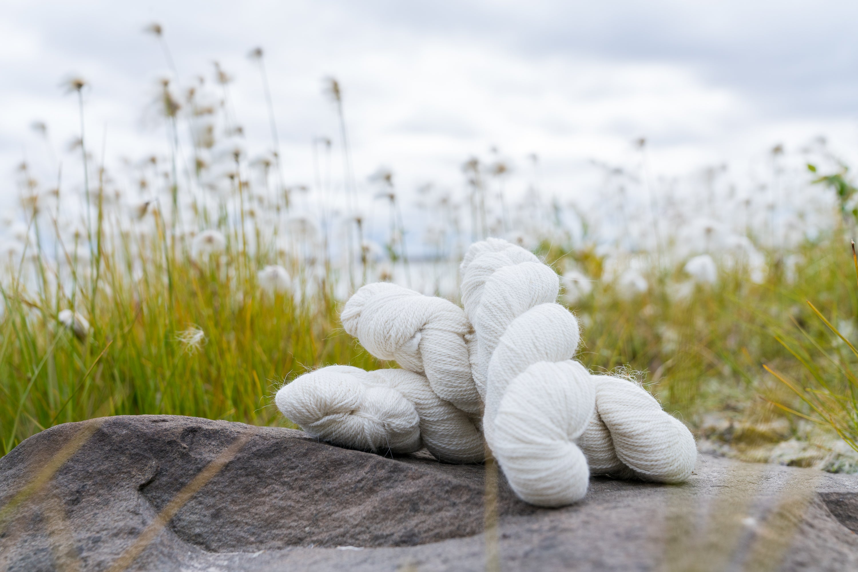 30% Arctic Fox: 60% Superfine Merino: 10% Silk Yarn among the Arctic Cotton grass