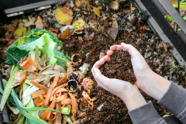 Hands making a heart shape while holding compost