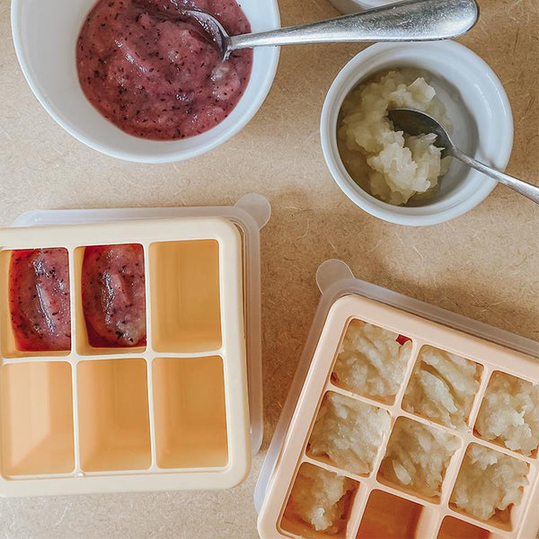 Homemade Baby Food Purees, Ice Cube Tray Method