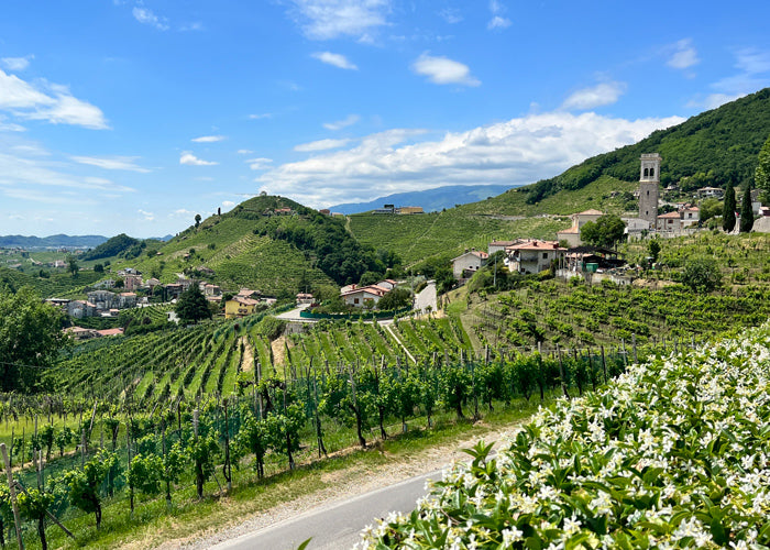 Cartizze and Santo Stefano Valdobbiadene