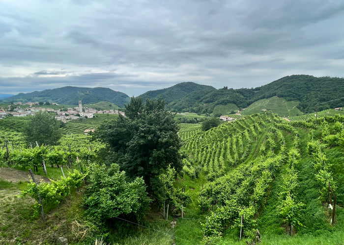 Alessandro Bortolin Winery