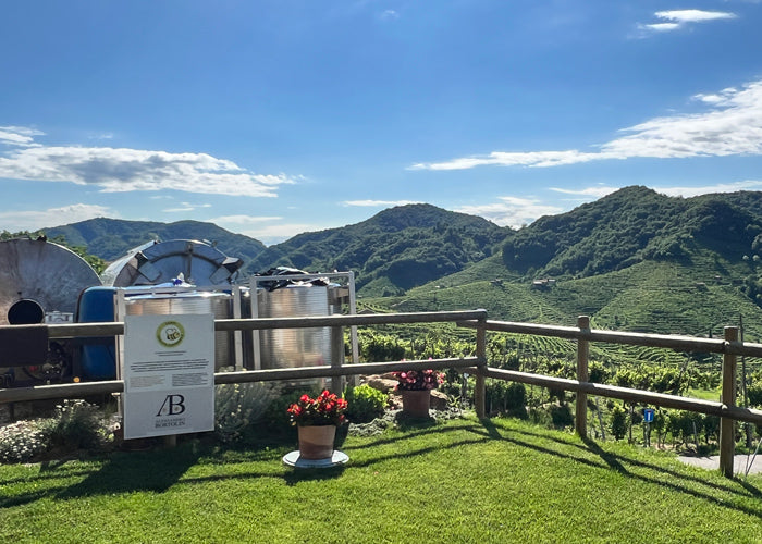 Alessandro Bortolin Winery