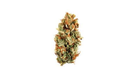 orange bud strain - Dr. Dabber®