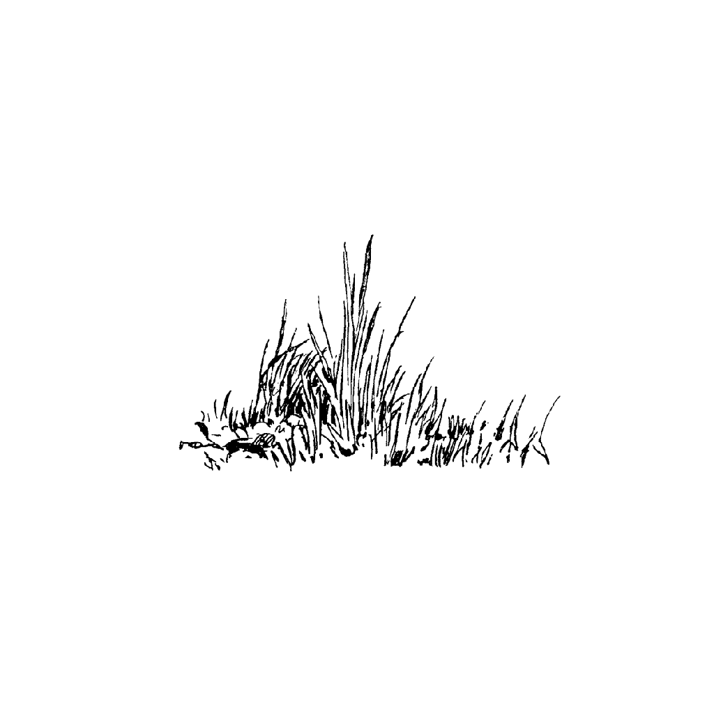 Трава скетч
