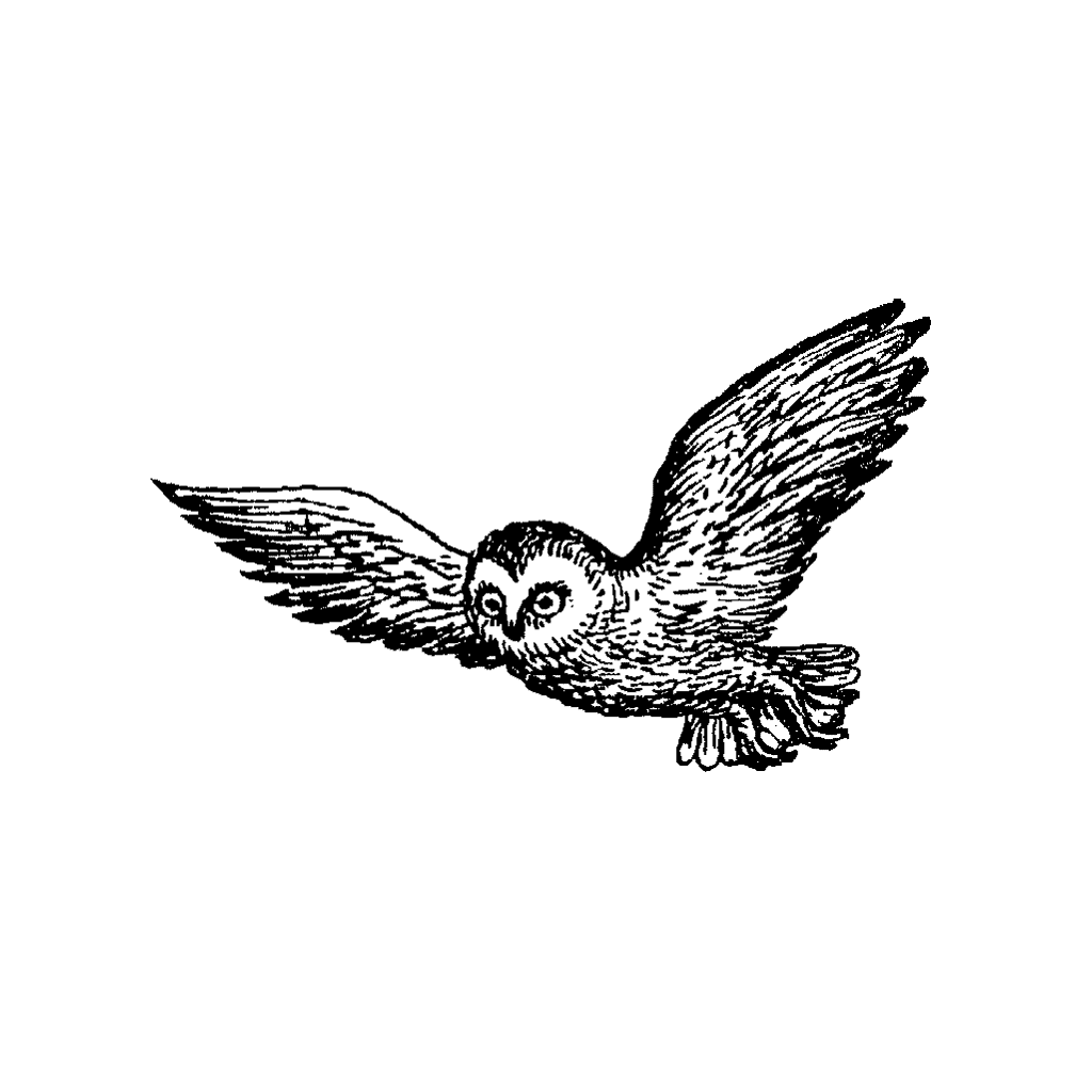 Flying Owl 191E Beeswax Rubber Stamps