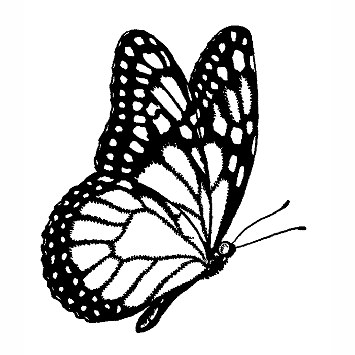 Monarch Butterfly Profile 1734E - Beeswax Rubber Stamps