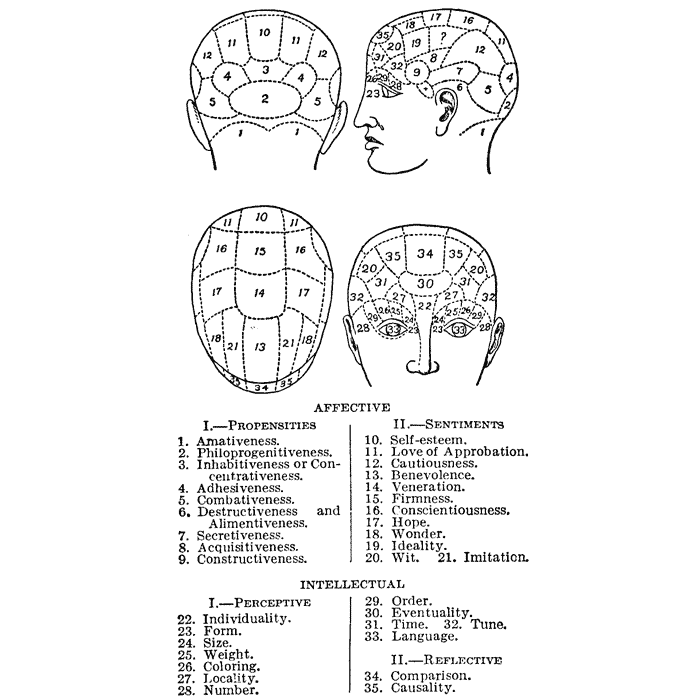 phrenology-chart-1145m-beeswax-rubber-stamps