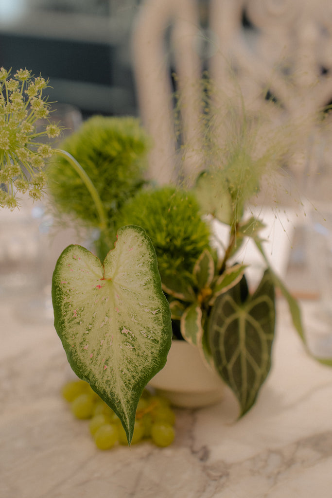 Plant Centerpiece Wedding at Cookhouse Dempsey