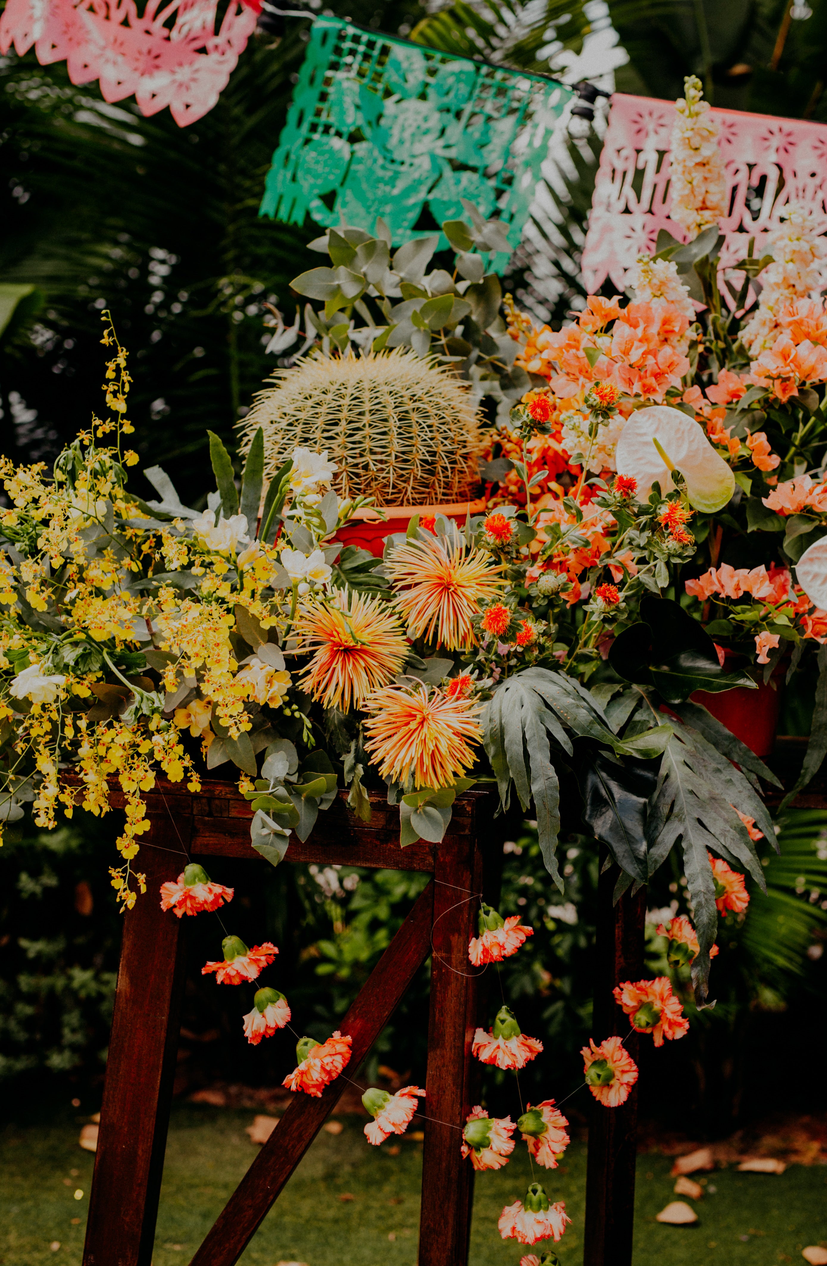 Close up of cactuses and hanging vine flowers for wedding photography photoshoot Singapore at mexican restaurant wedding reception