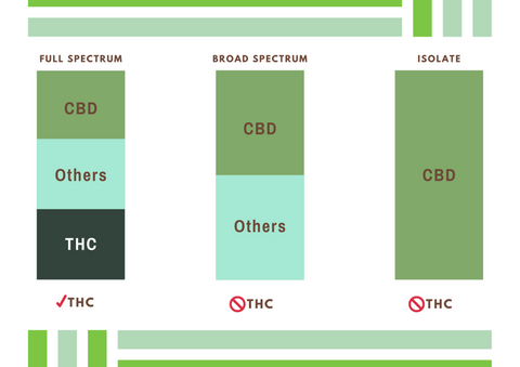 什麼是大麻二酚 Cbd 是毒品的一種 六款cbd 產品推介 Vegan Concept 純素概念網店售賣有機無動物測試的純素生活用品