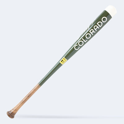 Houston Astros Space City - City Connect Uniform Bat (MLB