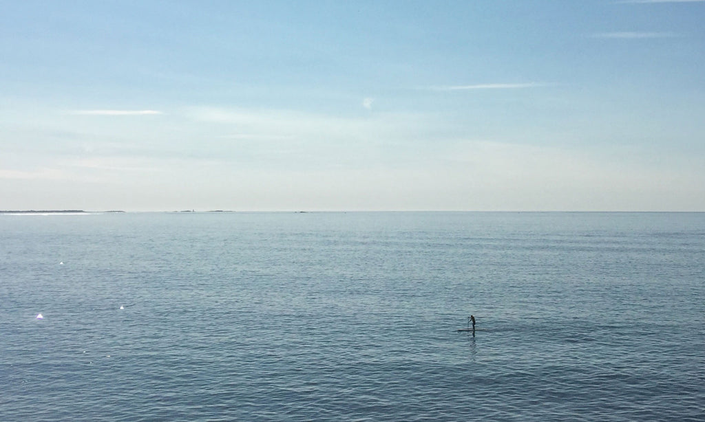 Stand Up Paddle Board Crane & Lion