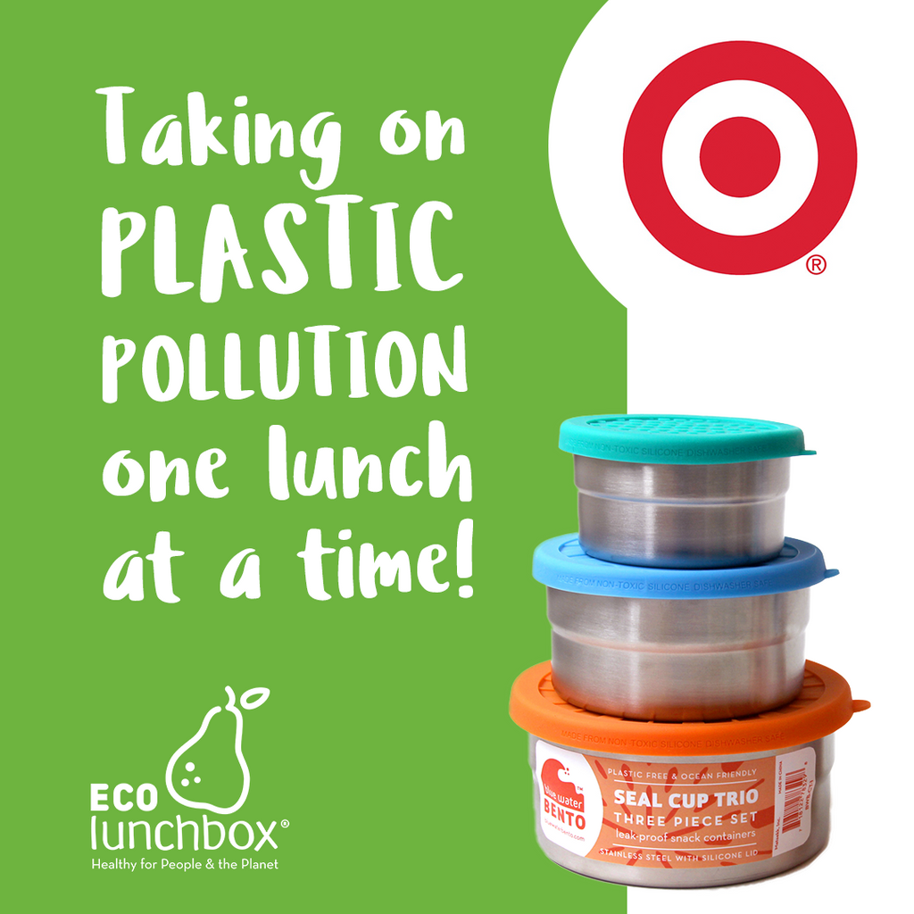 Taking on Plastic Pollution One Lunch at a time