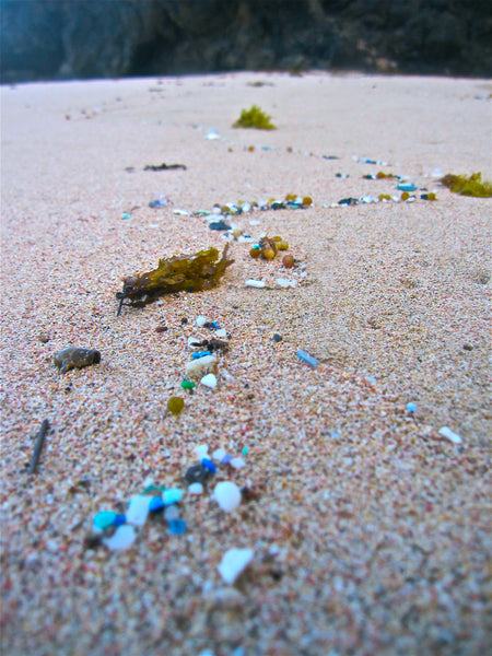 Microplastics on E.I. beach