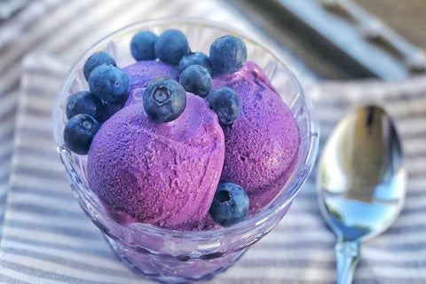 sugar free protein ice cream