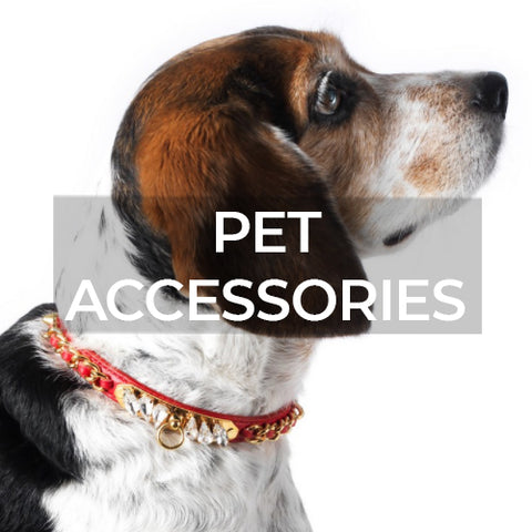 Pet Accessories