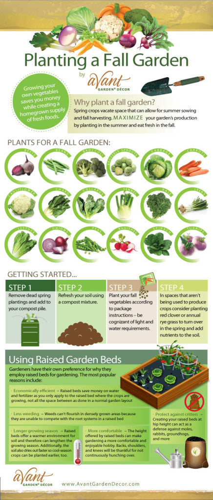 Easy Infographic Plant A Fall Garden Cate S Garden
