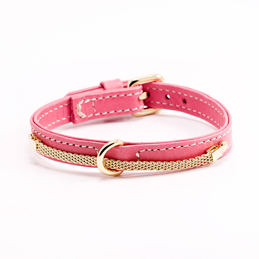 dog collar boutique