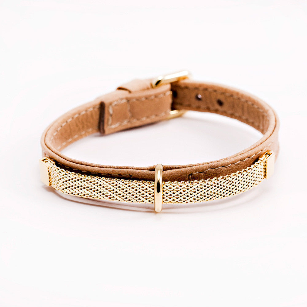 dog collar boutique