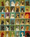 Personalize Your Pooch- Dog Art Print- 11" x 14"