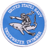 U.S. Navy UWSS Patch