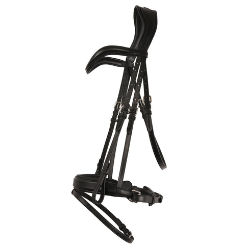 Dressage Bridle