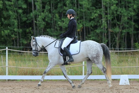 Woman Riding Horse in Dressage Discipline