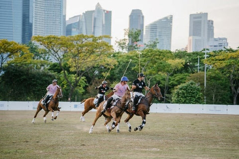 Horse Riders playing polo in a field - Polo Discipline