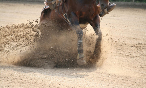 Reining a horse - Reining Discipline