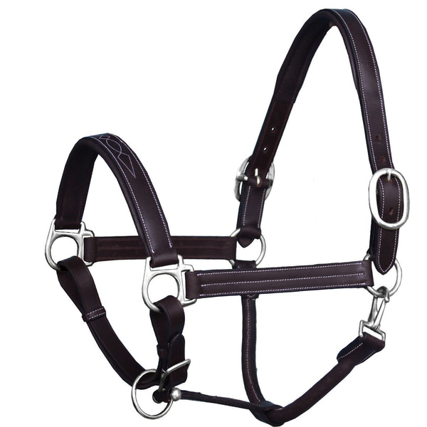 Signature Padded Horse Halter -S5000, Leather Halter